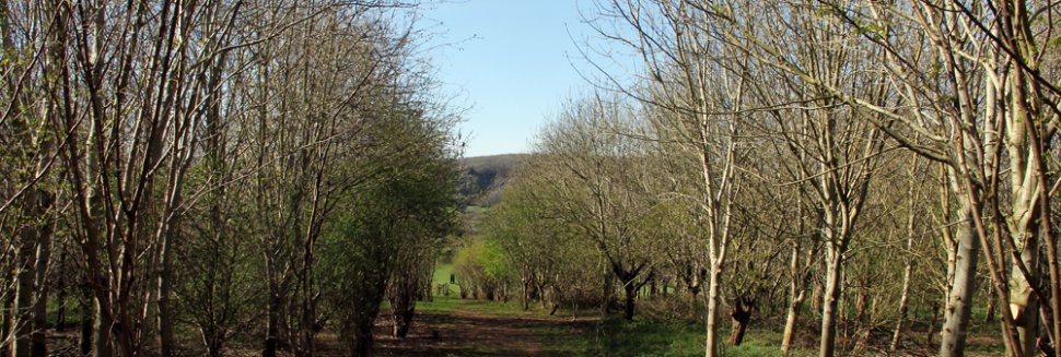 Country pubs Near Bristol