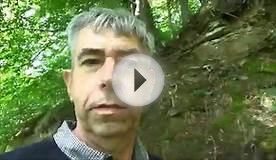 Foss Fall`s and Tea rooms North Yorkshire moors England